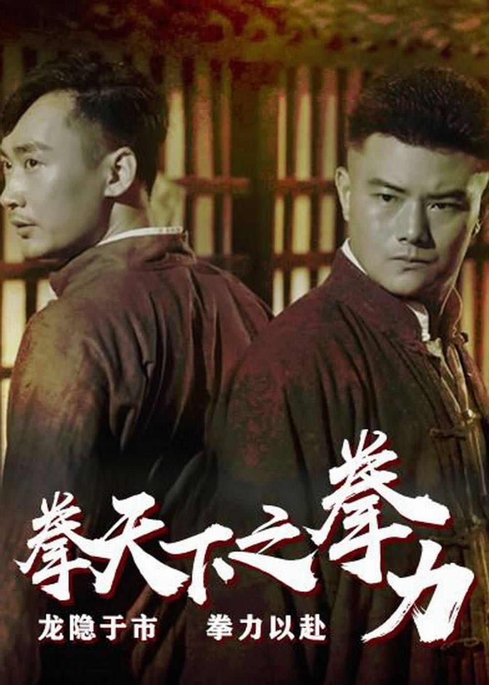 拳天下之拳力